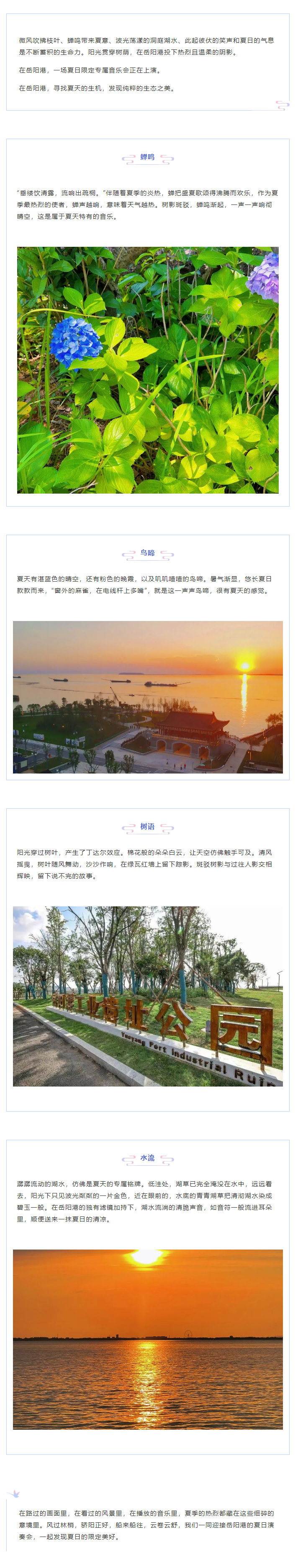 【夏日演奏會(huì)】在岳陽(yáng)港，聆聽夏天的聲音.png